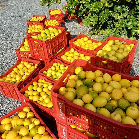 Willa Profumo Di Zagara Acireale Zewnętrze zdjęcie
