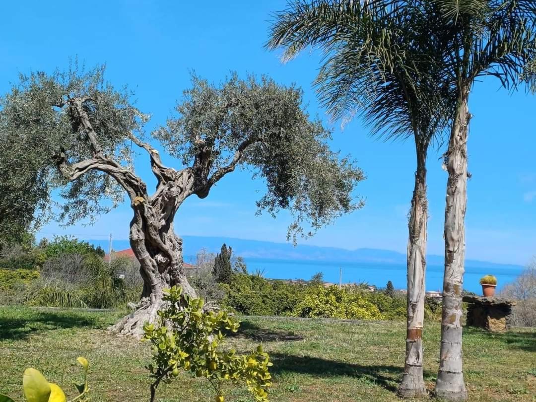 Willa Profumo Di Zagara Acireale Zewnętrze zdjęcie